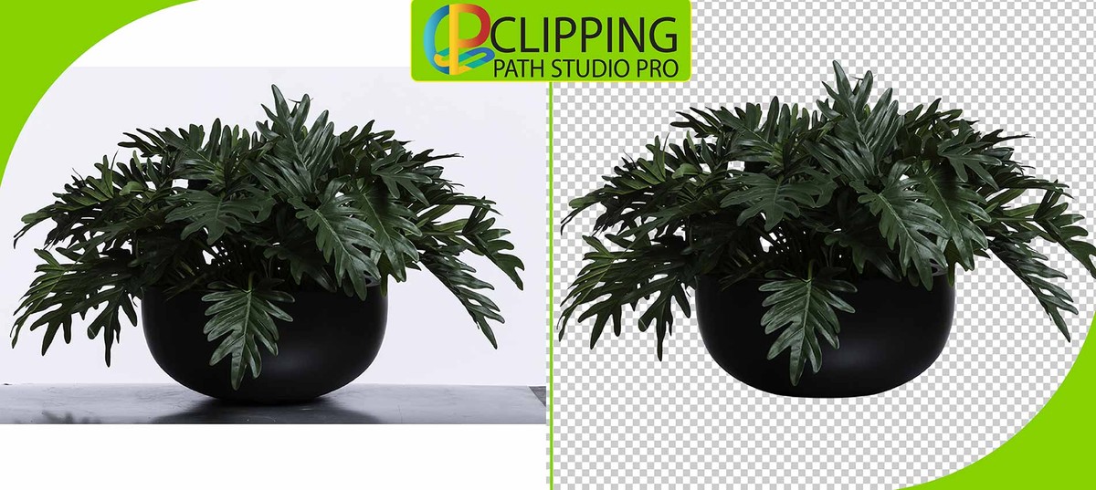 Clipping path| Background remove|cutout
