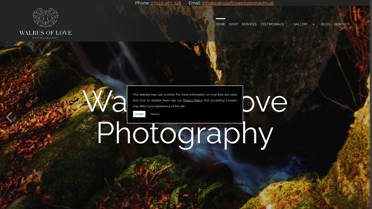 A website built for an excellent and experienced photographer
